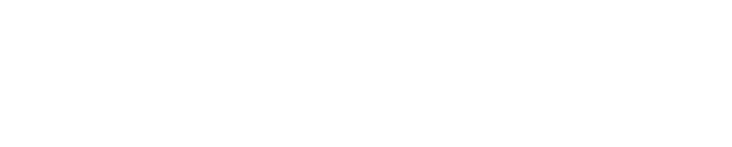 GLOBAL PLAYER